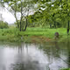 landscape in the rain