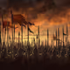 Landscape Kingdom