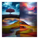 Landscape Reality