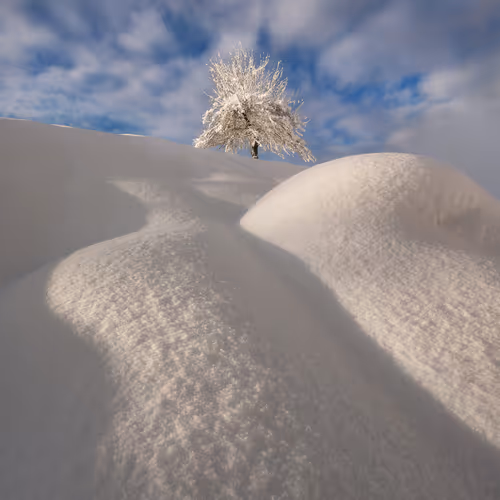 Landscape of Slovenia