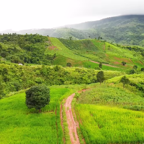 landscape veiw - old