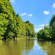 Nature in the UK