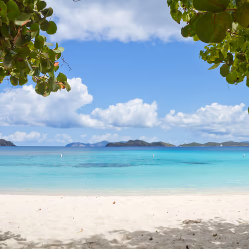 The View || shomophoto - old