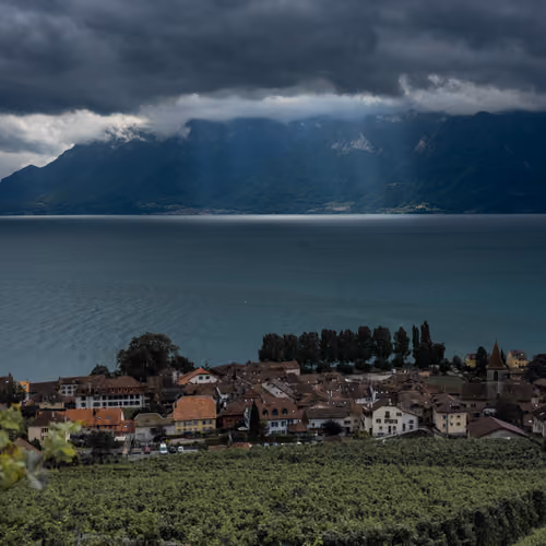 Landscapes from the globe