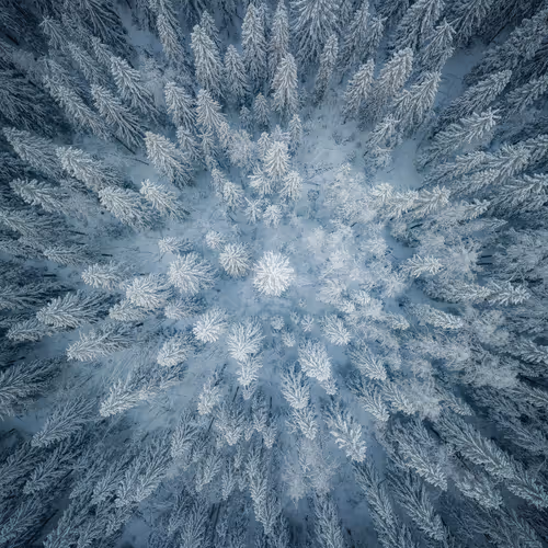 Hugo Korhonen Landscape Editions - old