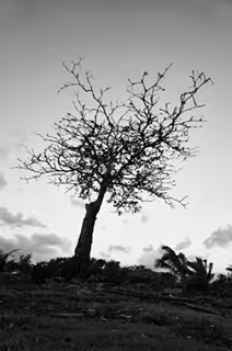 Landscapes in Cuba - old