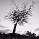 Landscapes in Cuba - old