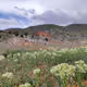 Landscapesio