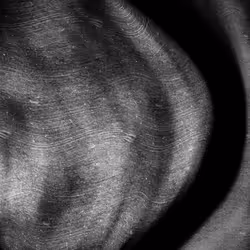 アイテム メディア プレースホルダー