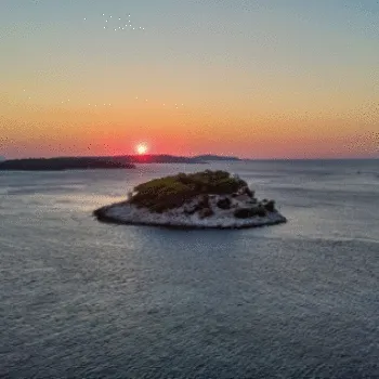 Laxyus Bird's Eye - old