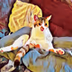 LazyCatz