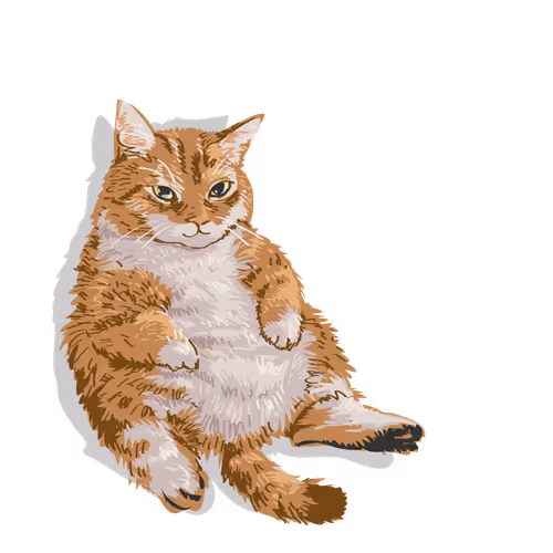 Lazy Happy Cat feat. Flea