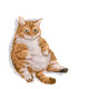Lazy Happy Cat feat. Flea