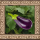 le garden
