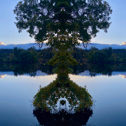 Leaves of Time