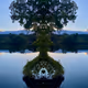 Leaves of Time
