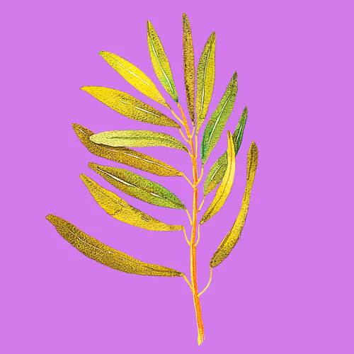 LEAVES ON ACID - old