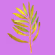 LEAVES ON ACID - old