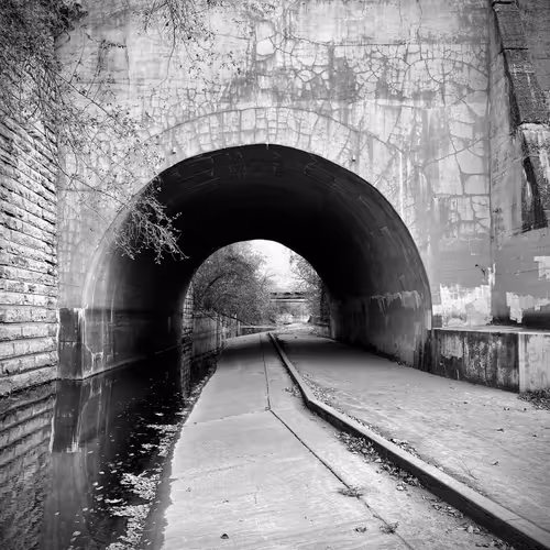 For the love of Photograph