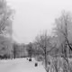 RomLera - Loneliness
