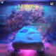 LESSONS ALBUM