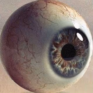 Le Thaumaturge Collection - old