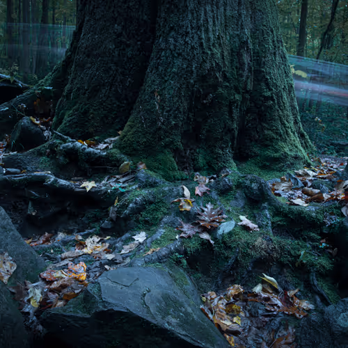 Let there be Color - old