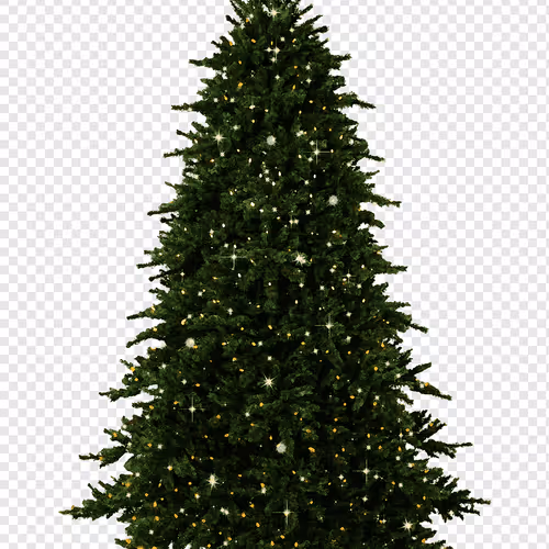 levencompru