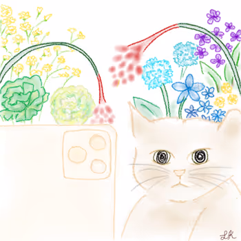 Lexie_Universe - old