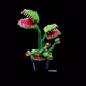 LIF3CYCLE GENESIS PASS