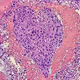 Life at the cell level