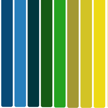 Life is live (Birds)