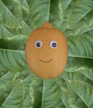 Life's Lemons: It's a mixed bag