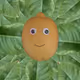 Life's Lemons: It's a mixed bag