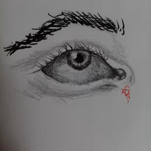 Life or Struggle