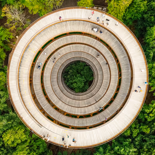 THE LIFE PORTAL