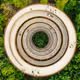 THE LIFE PORTAL