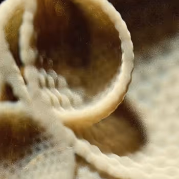 Life under microscope