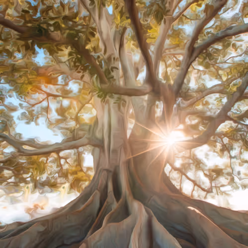 Life Flows Through It