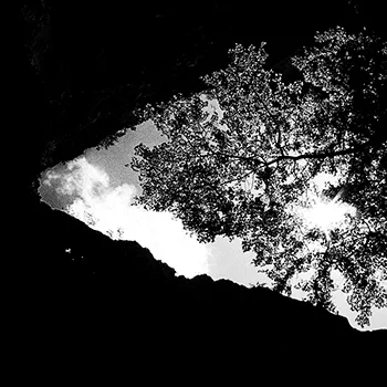 Life Is Not All Black and White