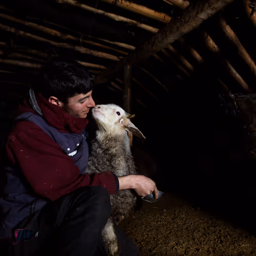 A N A T O L I A - old