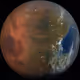 Life on the Red Planet