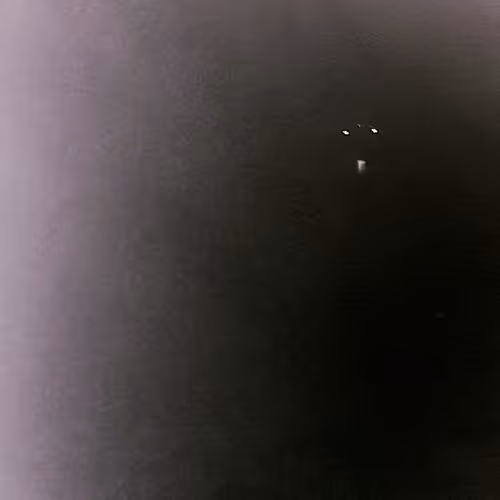 Light in the dark nft