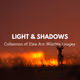 Light & Shadows: Fine Art Wildlife Images