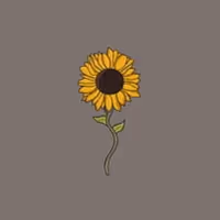 Like a Sunflower