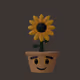 Lil pots