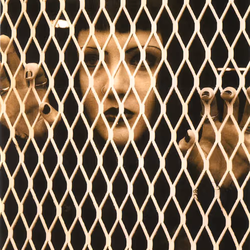 Limited 32 Collections 1/1