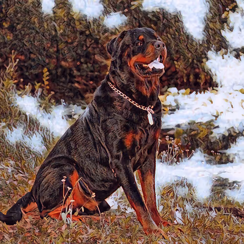 Limitless Signature Collection