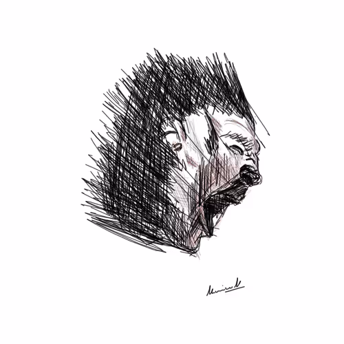 Line Art Aesthetic.a Collection - old