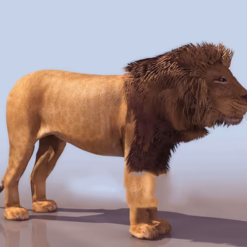 lion 3d